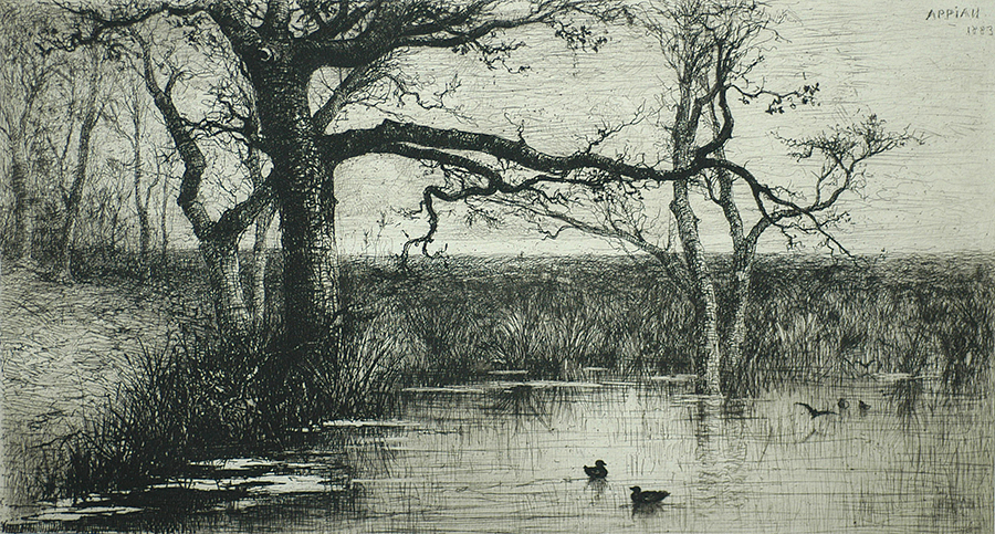 Pond with Ducks (Etang avec Canards) - ADOLPHE APPIAN - etching