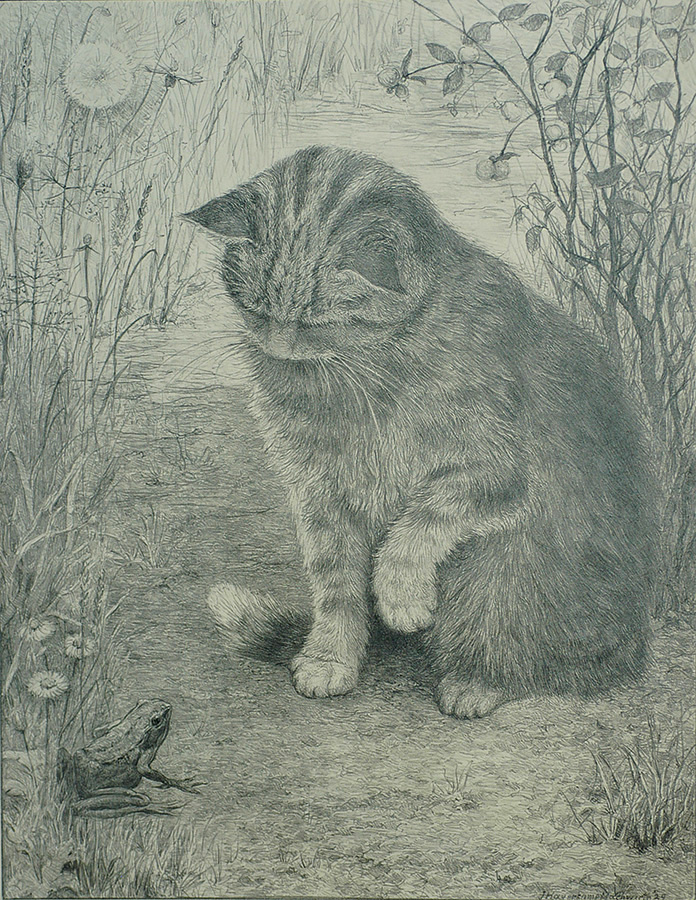 Cat with a Frog - JOHANNA G. HAVERKAMP-MACHWIRTH - lithograph