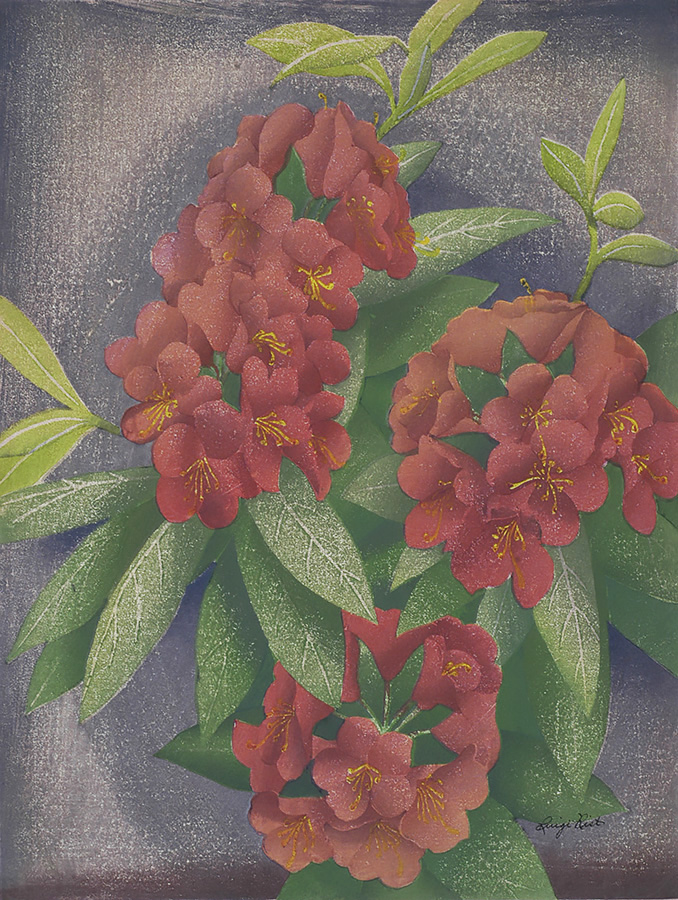 Rhododendron - LUIGI RIST - woodcut printed in colors