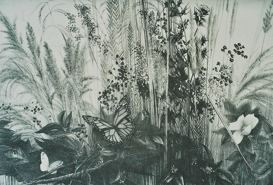 Roadside Garden - STOW WENGENROTH - lithograph