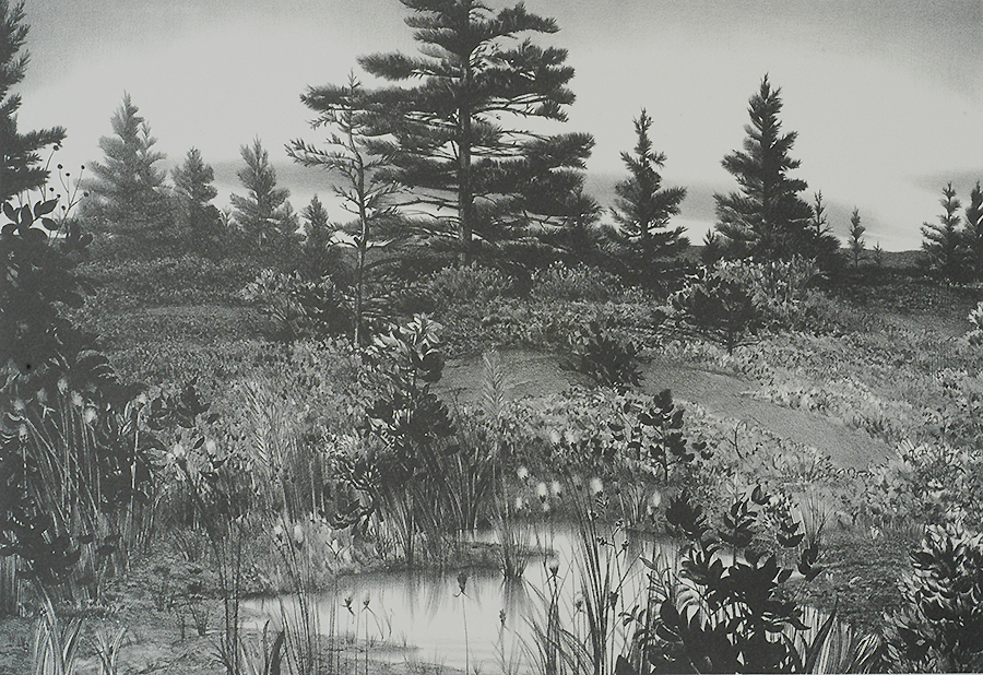 Maine Evening - STOW WENGENROTH - lithograph