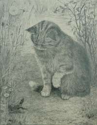 Cat with a Frog -  HAVERKAMP-MACHWIRTH