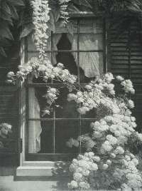 Cottage Window -  WENGENROTH