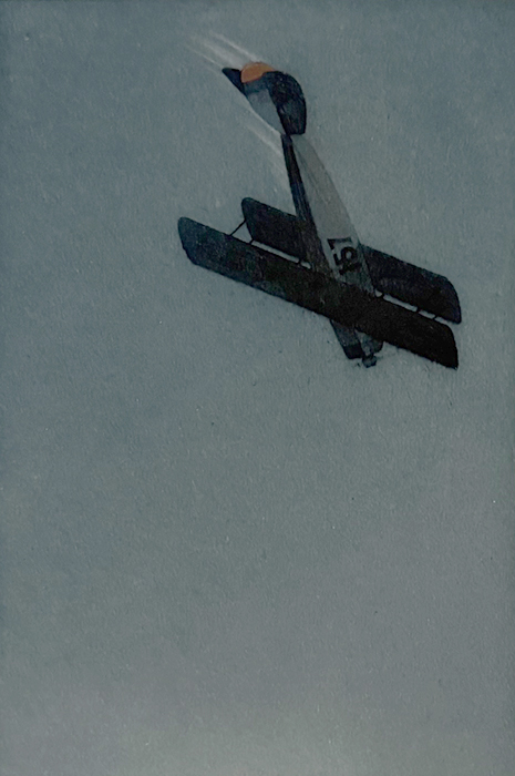 Loop-The-Loop - JOHN TAYLOR ARMS - etching and aquatint printed in color