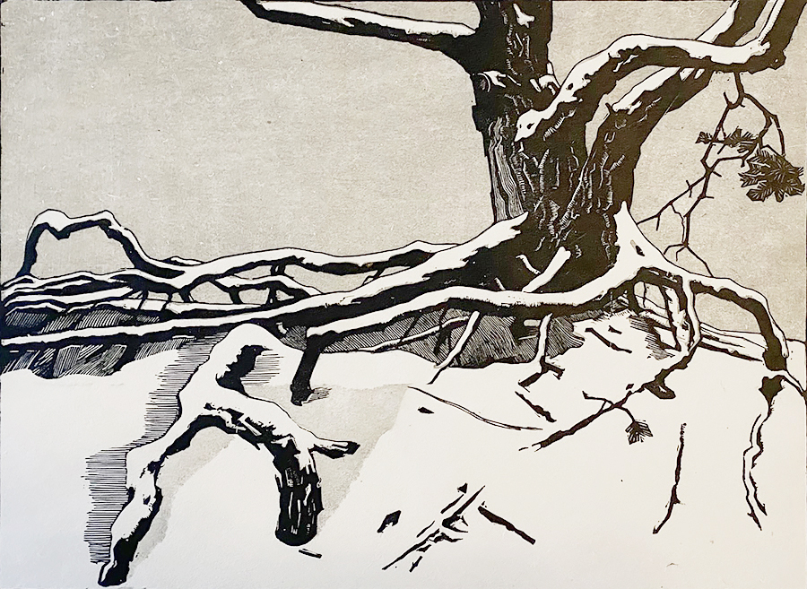 Tree in Winter - JAN BOON - woodcut printed in black and gray