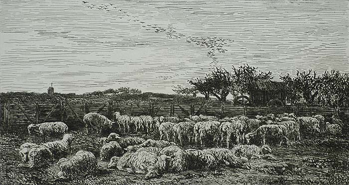 Field of Sheep, Morning (Parc a Moutons, Le Matin) - CHARLES-FRANCOIS DAUBIGNY - etching