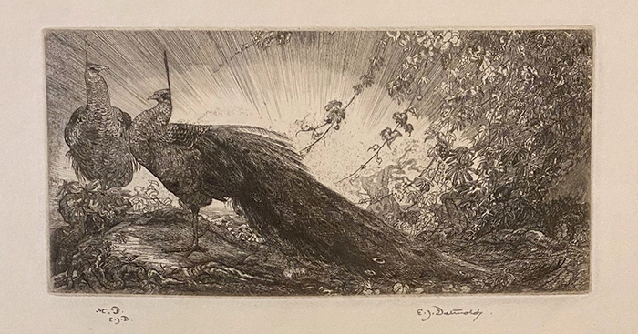 Peacocks (Oblong Plate) - CHARLES M. & EDWARD J. DETMOLD - etching