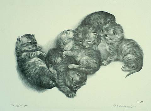 Five Kittens - AART VAN DOBBENBURGH - lithograph