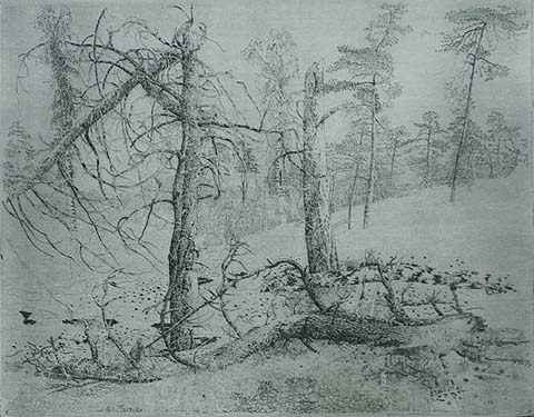 Bos V - CHARLES DONKER - etching