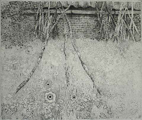 Groningen, Tuin Anemoon - CHARLES DONKER - etching