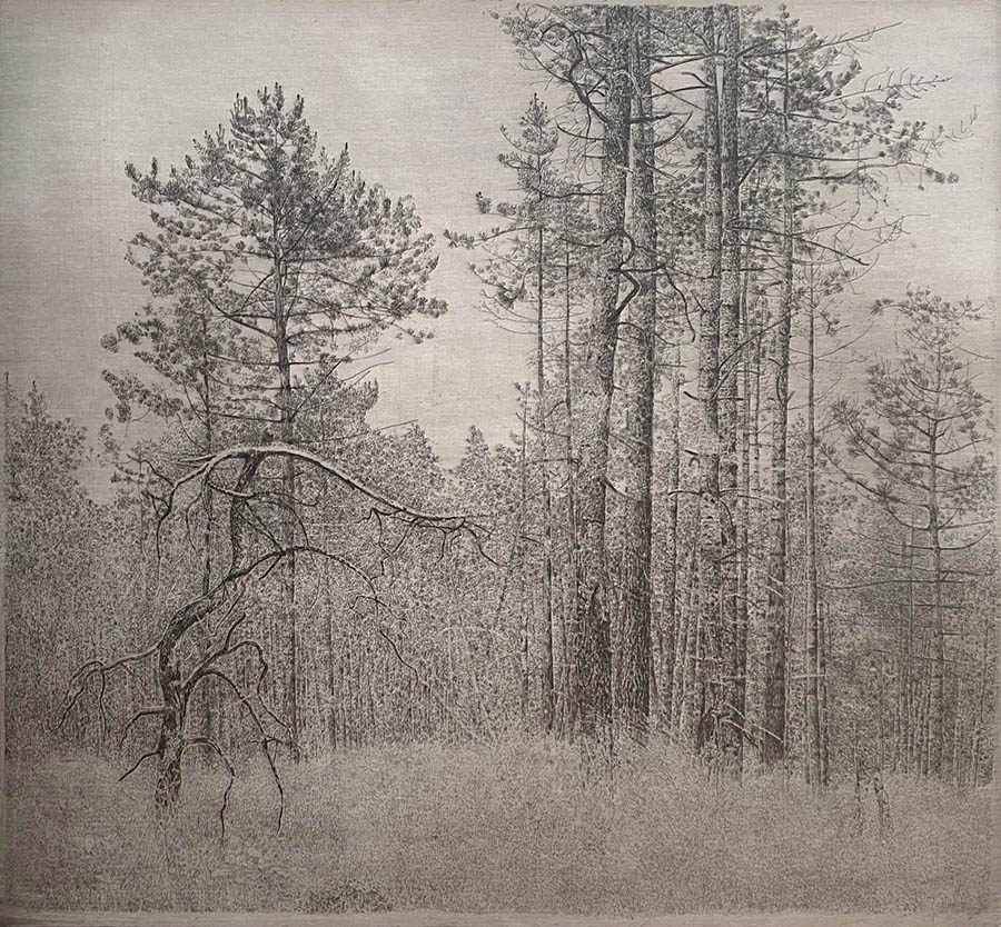 Forest XXI (Bos XXI) - CHARLES DONKER - etching