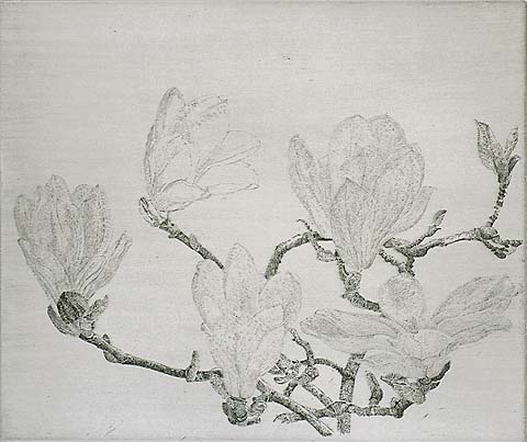 Magnolia (IA) - CHARLES DONKER - etching