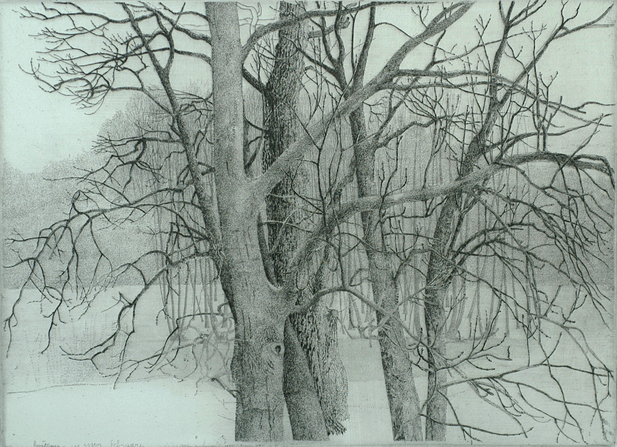 Four Ash Trees, Rhijnauwen (Vier essen, Rhijnauwen) - CHARLES DONKER - etching