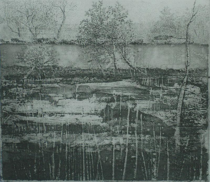 Veenlandschap (Veen) - CHARLES DONKER - etching and aquatint