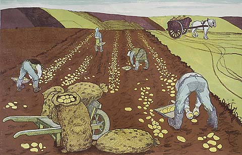 Potatoes - ANDRE FOUGERON - lithograph printed in colors