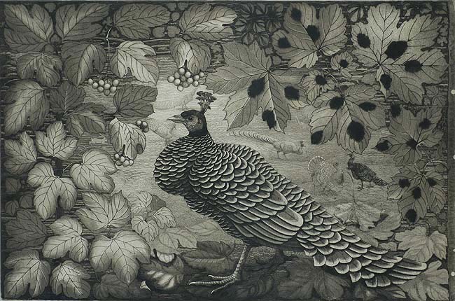 Peacock in a Landscape - ROELF GERBRANDS - etching