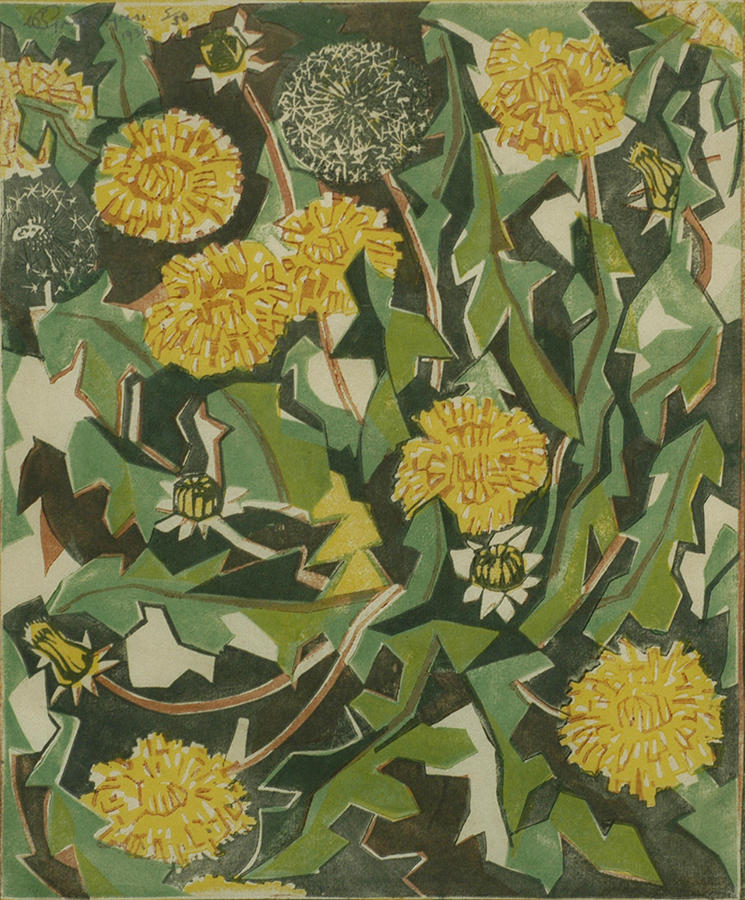 Dandelion - WILLIAM GREENGRASS - linocut printed in colors