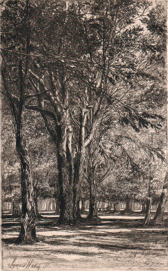 Kensington Gardens, No. II - SEYMOUR HADEN - etching and drypoint