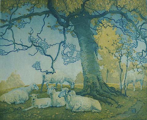 Beech Tree, York Hills - FRED S. HAINES - etching and aquatint printed in colors