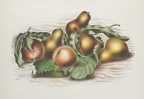 Fruit Forms - ALBERT  HECKMAN - lithograph printed in colors