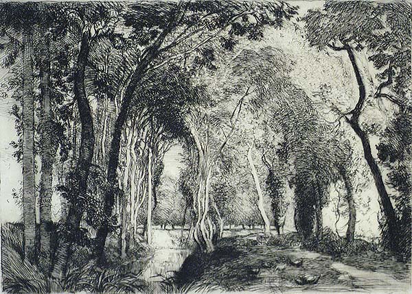 Sous Bois, à la Rigonette (Vendée) - AUGUSTE LEPERE - etching