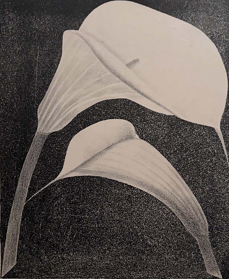 Two Arum Flowers - SAMUEL JESSURUN DE MESQUITA - lithograph