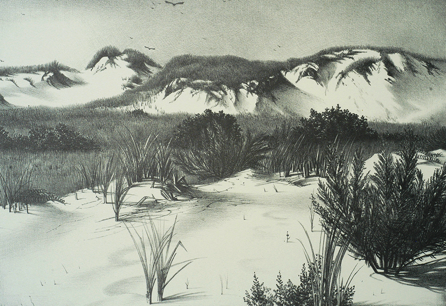 Ogunquit Dunes - STOW WENGENROTH - lithograph