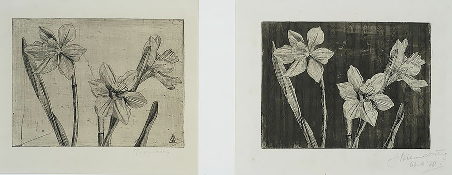 Daffodils (two states) - JEANNE BIERUMA OOSTING - etchings