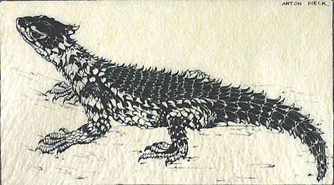 Lizard - ANTON F. PIECK - wood engraving