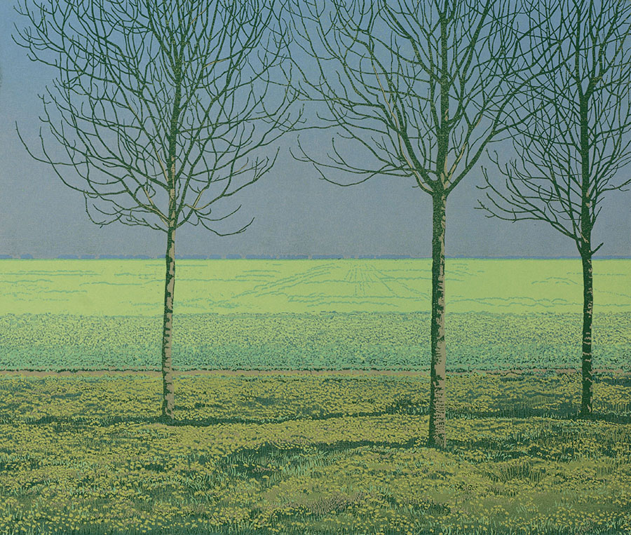 Landscape 2001-IV - GRIETJE POSTMA - woodcut printed in colors
