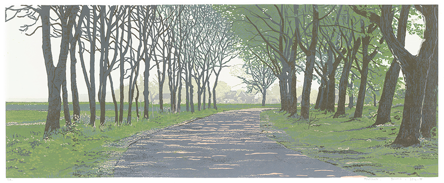 Landscape 2014-IV - GRIETJE POSTMA - woodcut printed in colors