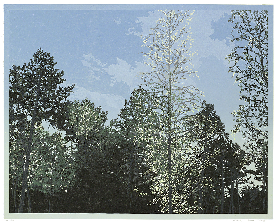 Landscape 2014-VI - GRIETJE POSTMA - woodcut printed in colors