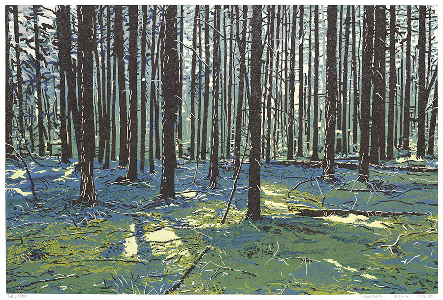 Landscape 2017-IV - GRIETJE POSTMA - woodcut printed in colors