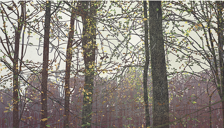 Landscape 2020-IX - GRIETJE POSTMA - woodcut printed in colors