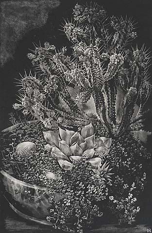 Cactus Study - INA RAHUSEN - lithograph