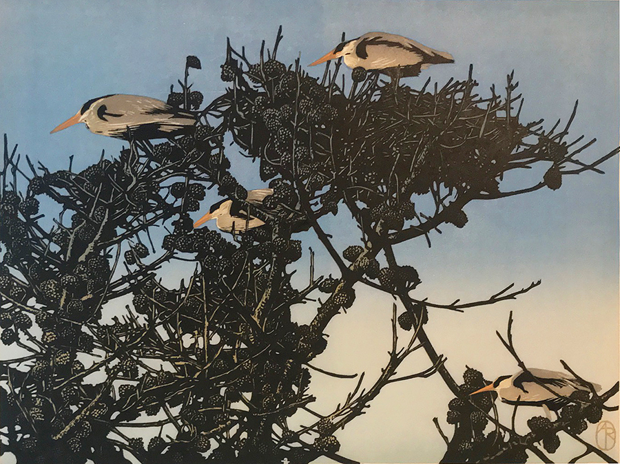 Heron Nests - ANDREA RICH - woodcut printed in colors