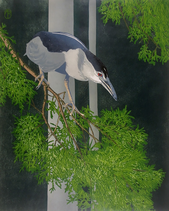 Night Heron in Cypress - ANDREA RICH - woodcut printed in colors