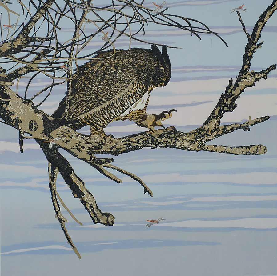 Owl with Dragonflies - ANDREA RICH - woodcut printed in colors