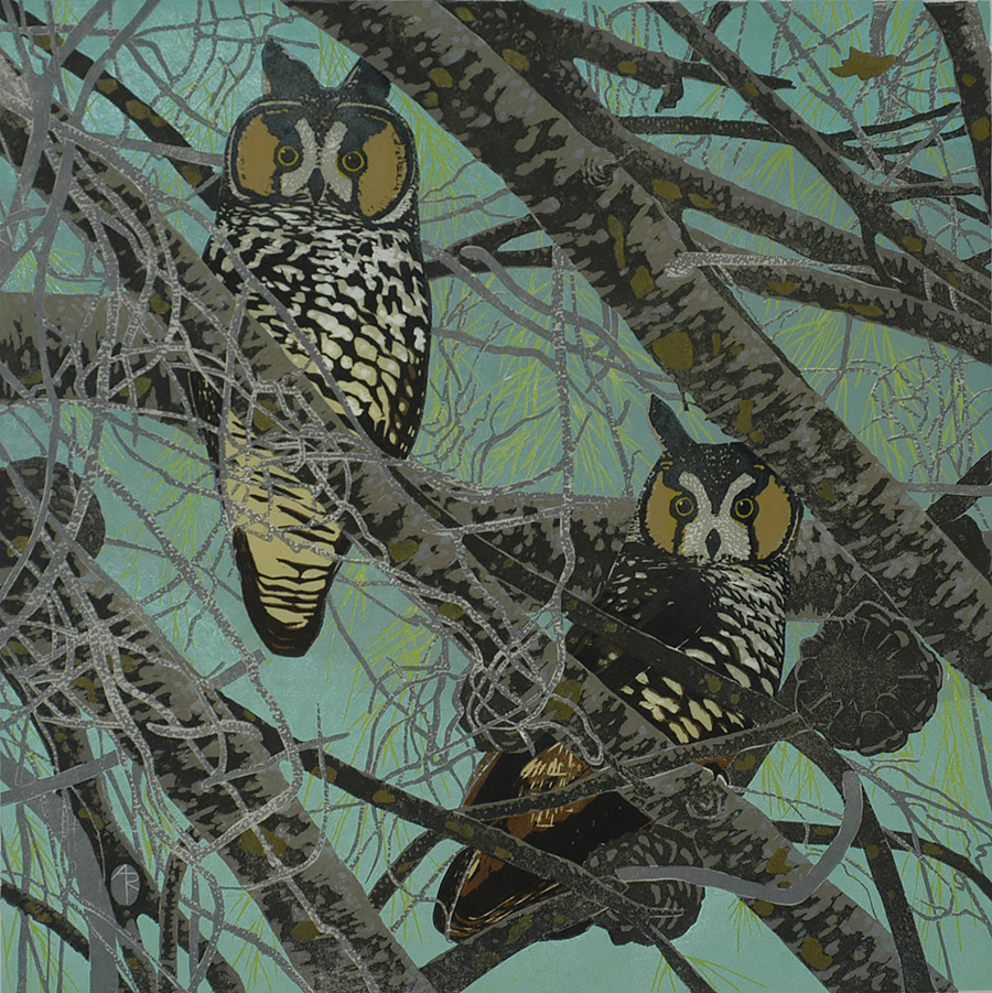 Long-eared Owl - ANDREA RICH - woodcut printed in colors