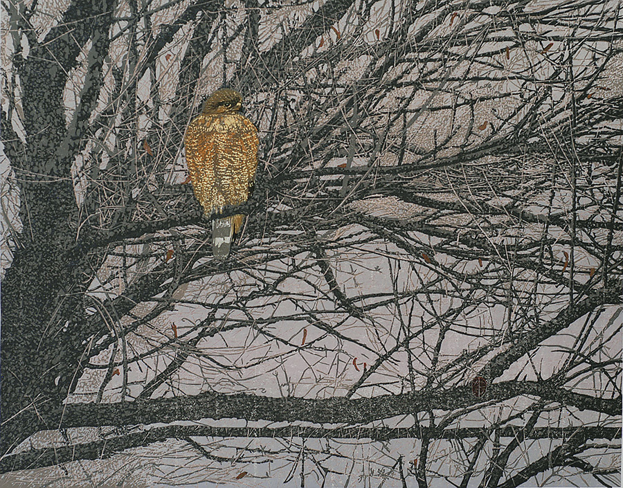 Red Shouldered Hawk - ANDREA RICH - woodcut printed in colors