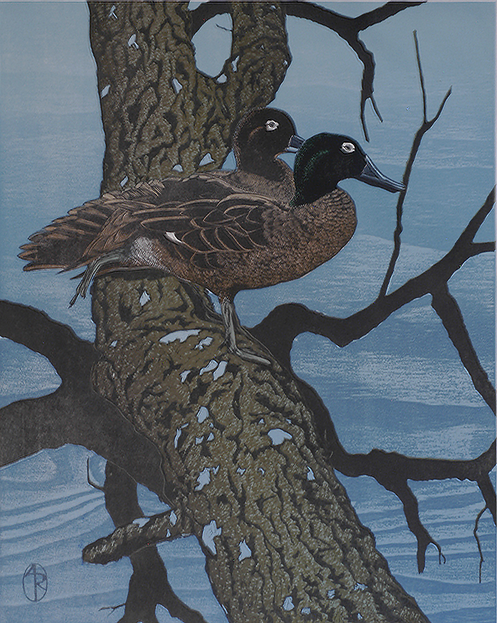 Pateka Brown Teal - ANDREA RICH - woodcut printed in colors