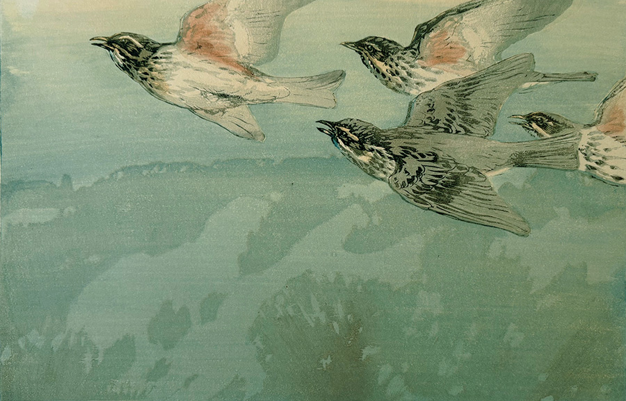 Redwings in Flight over the Berkshire Downs - ALLEN W. SEABY - woodcut printed in colors