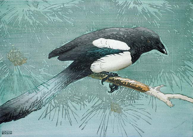 Magpie - ALLEN W. SEABY - woodcut printed in colors