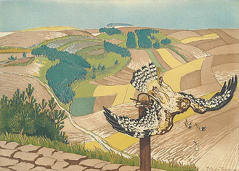 Bird of Prey - MAURICE TAQUOY - etching and aquatint printed in colors