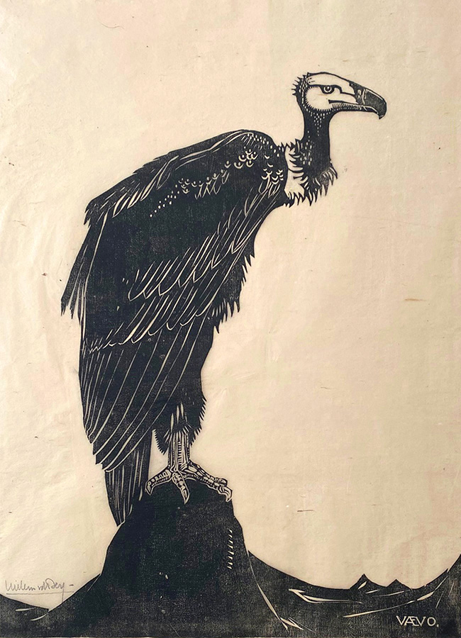 Vulture - WILLEM  VAN DEN BERG - woodcut
