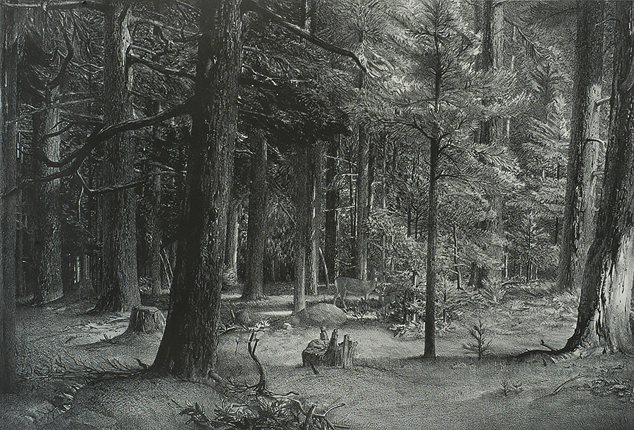 Forest Shade - STOW WENGENROTH - lithograph
