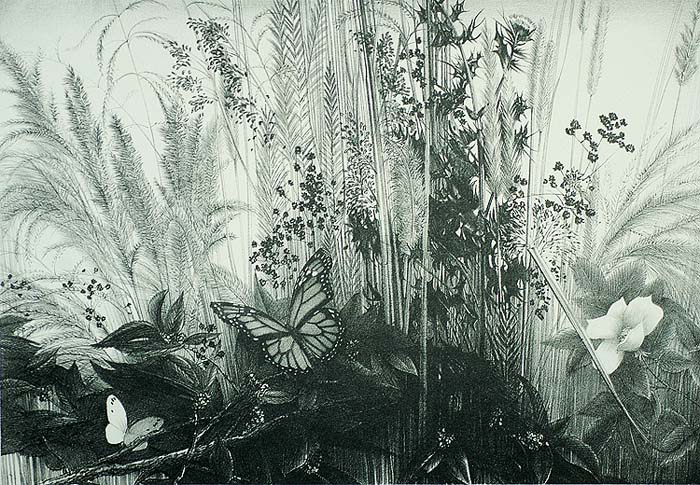 Roadside Garden - STOW WENGENROTH - lithograph