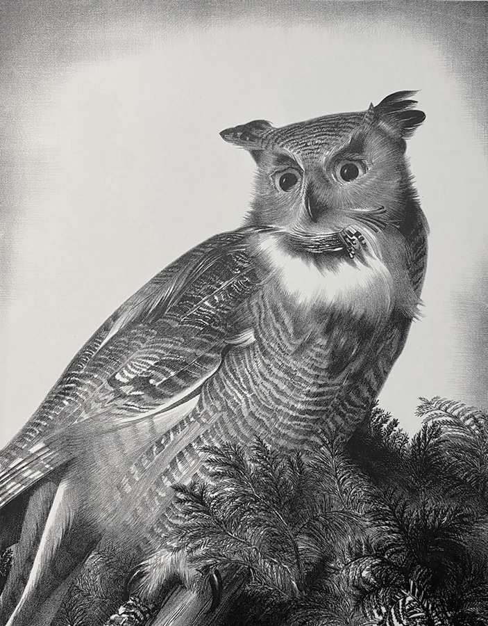 Great Horned Owl - STOW WENGENROTH - lithograph
