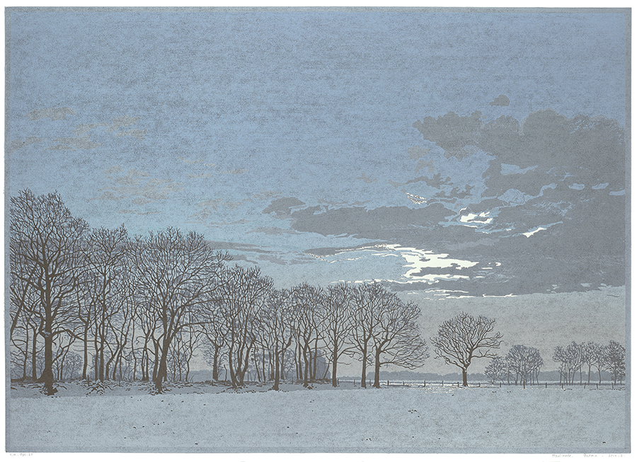 Landscape 2013-I - GRIETJE POSTMA - woodcut printed in colors