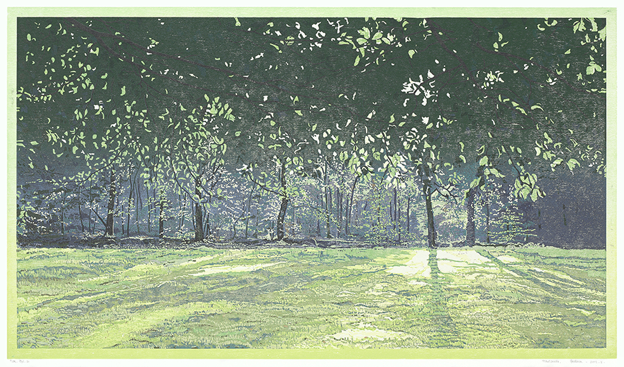 Landscape 2012-I - GRIETJE POSTMA - woodcut printed in colors